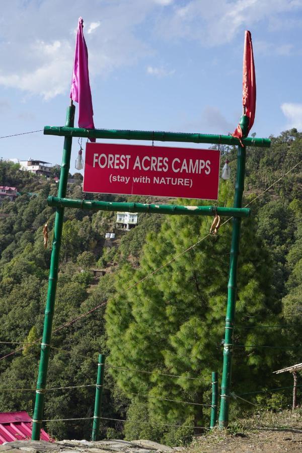 Forest Acres Camps Mukteshwar Esterno foto